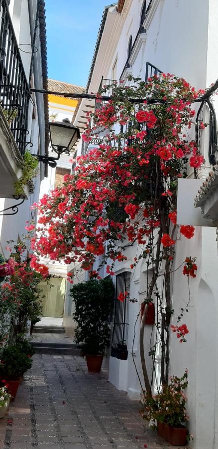 Precioso Y Acogedor Atico Old Town Apartment Marbella Exterior foto