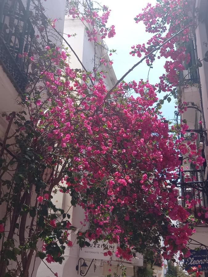 Precioso Y Acogedor Atico Old Town Apartment Marbella Exterior foto